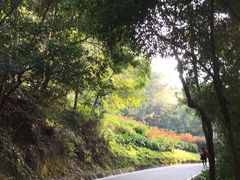 -白云山风景名胜区