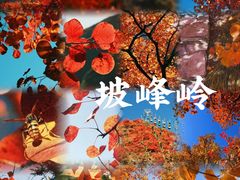 -周口店坡峰岭风景区