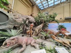 -国家自然博物馆