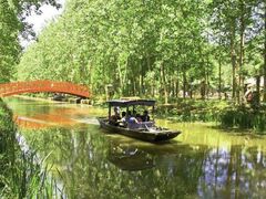 -合肥滨湖国家森林公园