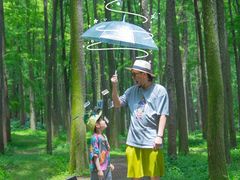 -共青国家森林公园-售票处