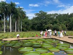 -中国科学院西双版纳热带植物园