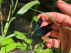 -碓臼峪自然风景区