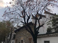 -观唐（国际）度假村温泉