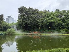 -广州长隆飞鸟乐园