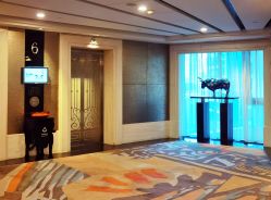 -华侨城洲际大酒店·宴会厅