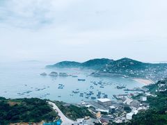 -枸杞岛