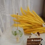 记忆之后｜环境➕ 颜值➕ 味道=💯