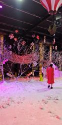 -圣名游乐城冰雪大世界