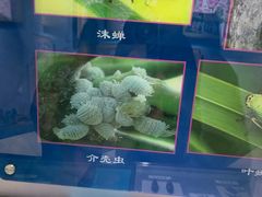 -上海昆虫博物馆