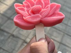 -白洋淀景区
