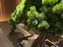 -浅深(北京北四环精品店)