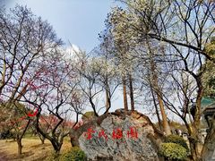 -无锡梅园公园