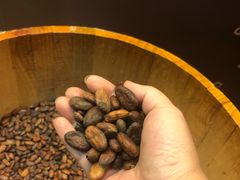 -歌斐颂巧克力小镇