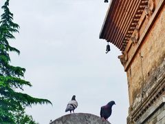 -洛阳白马寺
