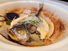 砂锅黄鱼-鱼乐轩·俄罗斯海鲜直供餐厅(群力店)