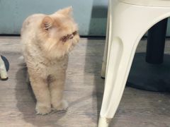 -小时光咖啡馆(开森度假森林店)