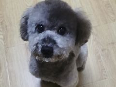 -PETKIT小佩宠物(昭化店)