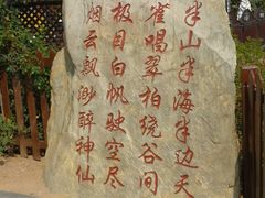 -怪坡茶馆