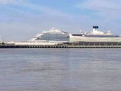 -上海吴淞炮台湾国家湿地公园