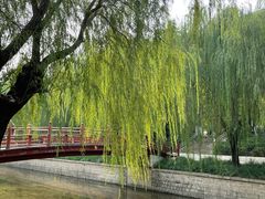 -元大都城垣遗址公园