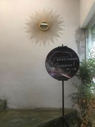 -蚂蚁造型沙龙