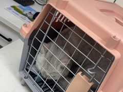 -贝康宠物医院·犬猫全科·小动物特色诊疗中心(东环路店)