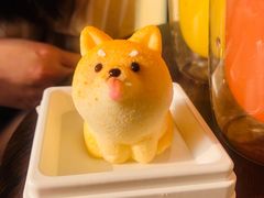 -柴犬高等学院·狗咖·柴犬售卖·宠物训练