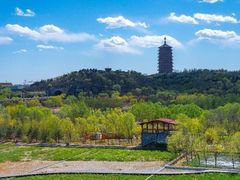 -永定河休闲森林公园