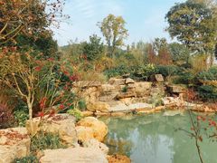 -铁山坪森林公园