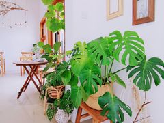 -AHAVA·Fang Baking Studio