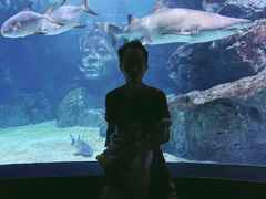 -暹罗海洋世界