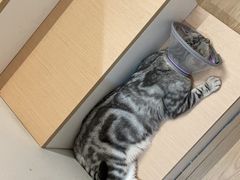-立德动物医院·24小时中心(番禺区院区)