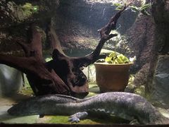 -太平洋海底世界