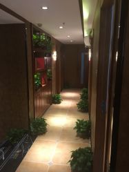 大厅-艺流造型