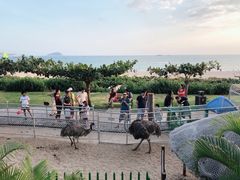 -三亚亚龙湾天域度假酒店