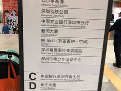 -大剧院(地铁站)