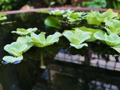 -肴约·花园式餐厅(湖里店)