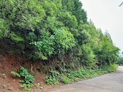 -府君山公园