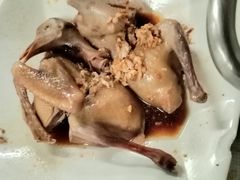 -百利鸽王(紫薇路店)