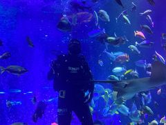 -沈阳海洋探索中心