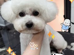 -帕帕拉兹宠物(亚洲旗舰店)