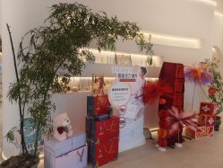 -紫琪尔·匠心连锁·胸部护理养护