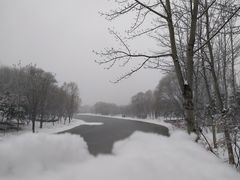 -大兴滨河森林公园