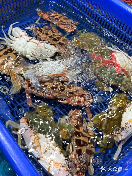 盒马鲜生(曜一城店)图片