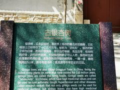 -北京凤凰岭