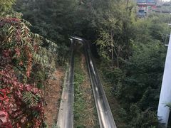 -富斯特索道