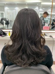 -镁连社·美联社