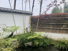 -凤凰山斑鱼馆(恭城店)