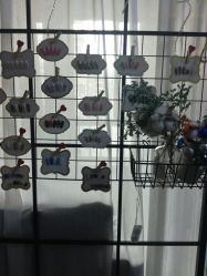 -7嘉nail eyelash·美甲美睫